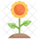 پیش‌نمایش فایل sunflower-2121078 از پک بهار