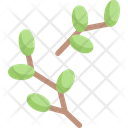پیش‌نمایش فایل tree-buds-bloom-2121076 از پک بهار