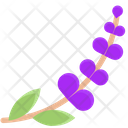 پیش‌نمایش فایل lavender-2134224 از پک خشکشویی و لباسشویی