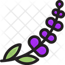 پیش‌نمایش فایل lavender-2134159 از پک خشکشویی و لباسشویی