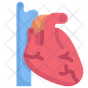 پیش‌نمایش فایل heart-2268615 از پک درمانگاه