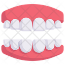پیش‌نمایش فایل jaw-with-teeth-2268612 از پک درمانگاه