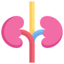 پیش‌نمایش فایل kidneys-2268611 از پک درمانگاه