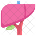 پیش‌نمایش فایل liver-2268610 از پک درمانگاه