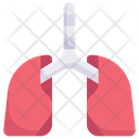 پیش‌نمایش فایل lungs-2268609 از پک درمانگاه