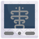 پیش‌نمایش فایل x-ray-screen-2268584 از پک درمانگاه