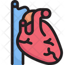 پیش‌نمایش فایل heart-2268524 از پک درمانگاه