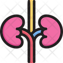 پیش‌نمایش فایل kidneys-2268520 از پک درمانگاه