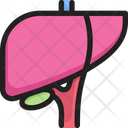پیش‌نمایش فایل liver-2268519 از پک درمانگاه