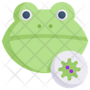پیش‌نمایش فایل frog-virus-2358333 از پک انتقال ویروس
