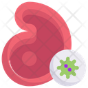 پیش‌نمایش فایل meat-virus-2358328 از پک انتقال ویروس