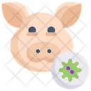 پیش‌نمایش فایل pig-virus-2358322 از پک انتقال ویروس
