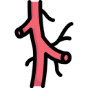 پیش‌نمایش فایل arteries-2497971 از پک کالبدشناسی