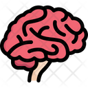 پیش‌نمایش فایل brain-side-2497967 از پک کالبدشناسی