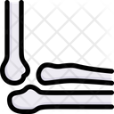 پیش‌نمایش فایل elbow-bone-2497959 از پک کالبدشناسی