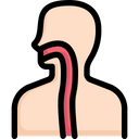 پیش‌نمایش فایل esophagus-2497958 از پک کالبدشناسی