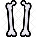 پیش‌نمایش فایل femur-2497955 از پک کالبدشناسی