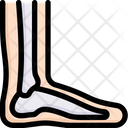 پیش‌نمایش فایل foot-2497954 از پک کالبدشناسی