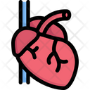 پیش‌نمایش فایل heart-2497972 از پک کالبدشناسی