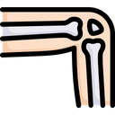 پیش‌نمایش فایل knee-2497949 از پک کالبدشناسی