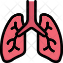 پیش‌نمایش فایل lungs-2497945 از پک کالبدشناسی