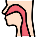 پیش‌نمایش فایل pharynx-2497941 از پک کالبدشناسی