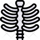 پیش‌نمایش فایل ribs-2497939 از پک کالبدشناسی