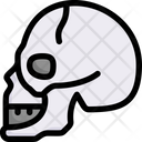 پیش‌نمایش فایل skull-side-2497936 از پک کالبدشناسی
