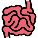پیش‌نمایش فایل small-intestine-2497935 از پک کالبدشناسی