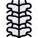 پیش‌نمایش فایل spine-2497933 از پک کالبدشناسی