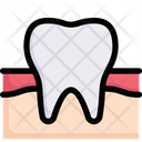 پیش‌نمایش فایل teeth-and-gums-2497930 از پک کالبدشناسی