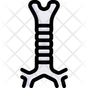 پیش‌نمایش فایل trachea-2497925 از پک کالبدشناسی