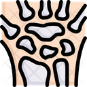 پیش‌نمایش فایل wrist-2497923 از پک کالبدشناسی