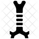 پیش‌نمایش فایل trachea-2498435 از پک کالبدشناسی