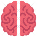 پیش‌نمایش فایل brain-2498398 از پک کالبدشناسی
