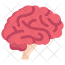پیش‌نمایش فایل brain-side-2498397 از پک کالبدشناسی