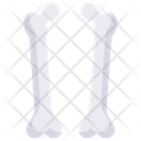 پیش‌نمایش فایل femur-2498385 از پک کالبدشناسی