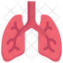 پیش‌نمایش فایل lungs-2498375 از پک کالبدشناسی