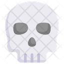 پیش‌نمایش فایل skull-2498383 از پک کالبدشناسی