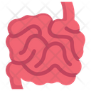 پیش‌نمایش فایل small-intestine-2498365 از پک کالبدشناسی
