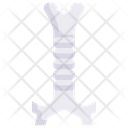 پیش‌نمایش فایل trachea-2498355 از پک کالبدشناسی