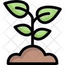 پیش‌نمایش فایل sprout-2524477 از پک روز زمین مادر
