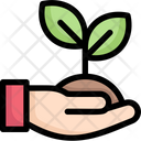 پیش‌نمایش فایل sprout-in-hand-2524478 از پک روز زمین مادر