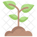 پیش‌نمایش فایل sprout-2524527 از پک روز زمین مادر