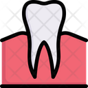 پیش‌نمایش فایل molar-2706828 از پک دندانپزشکی