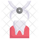 پیش‌نمایش فایل extraction-2706892 از پک دندانپزشکی