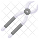 پیش‌نمایش فایل forceps-2706889 از پک دندانپزشکی
