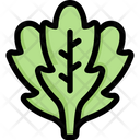 پیش‌نمایش فایل arugula-2748208 از پک سبزیجات