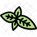 پیش‌نمایش فایل basil-2748205 از پک سبزیجات