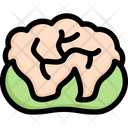 پیش‌نمایش فایل cauliflower-2748196 از پک سبزیجات